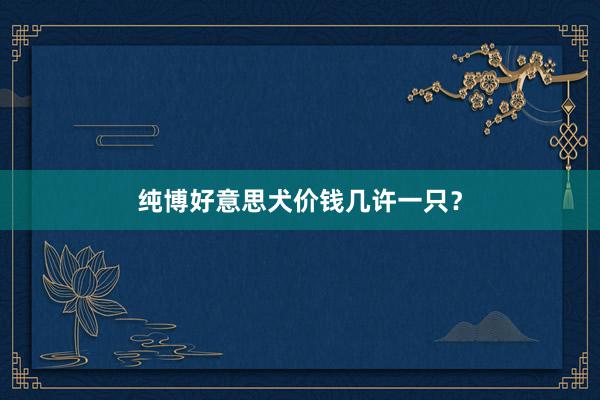 纯博好意思犬价钱几许一只？